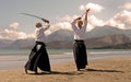 Aikido in japon Royalty Free Stock Photo