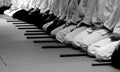 Aikido seminary Royalty Free Stock Photo