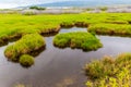 Aimakapa Fish Pond At Koloko-Honokohua National Historic Park Royalty Free Stock Photo