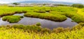 Aimakapa Fish Pond At Koloko-Honokohua National Historic Park Royalty Free Stock Photo