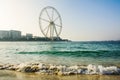 Ain Dubai ferris wheel at JBR beach