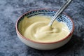 Aioli Sauce with Garlic Mayonnaise / Mayo Sauce Royalty Free Stock Photo