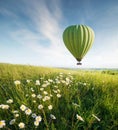 Air ballon above field with flowers at the summer time.