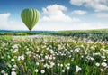 Air ballon above field with flowers at the summer time.