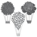 Air balloon-flowers. Monochrome vector illustration of three different variants.  Sketch, isolated elements for design. Royalty Free Stock Photo