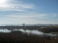 Air balloon over Mihailesti lake, near Bucharest, Romania Royalty Free Stock Photo