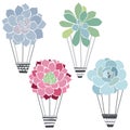 Air balloon-succulents.  Sketch, vector isolated elements for design. Royalty Free Stock Photo