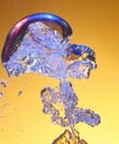Air Bubble in Water Royalty Free Stock Photo