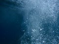 Air bubbles in blue water - underwater life off the Kastos island coast, Ionian Sea, Greece - abstract background. Royalty Free Stock Photo