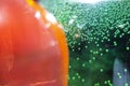 air bubbles formed in the green liquid.tiny potion bottle Royalty Free Stock Photo