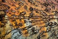 Air bubbles in ice under the microscope Royalty Free Stock Photo