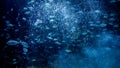 Air bubbles and lots of fishes swimming in clear ocean water. Abstract underwater background or backdrop Royalty Free Stock Photo