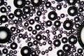 Air bubbles in an surfactant fluid under a microscope Royalty Free Stock Photo