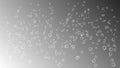 Air bubbles on transparent background Royalty Free Stock Photo