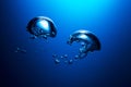 Air bubbles underwater Royalty Free Stock Photo