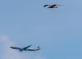 Air China airplane leaving Barcelona during Covid crisis