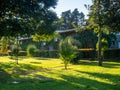 An air-conditioned building in a park covered in ivy. Green City. Lawn and utility room