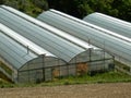 Air-conditioned greenhouses