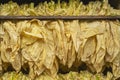 Air curing of tobacco leaves. Flue curing. Flue-cured tobacco leaves hanging on needle hangers in a curing container