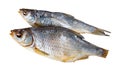 Air-dried salted gutted fish roach