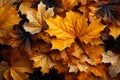 The air is filled with swirling yellow and red maple leaves of autumn