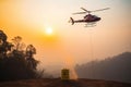 Air firefighting of forest wildfire, summer heat