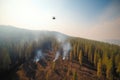 Air firefighting of forest wildfire, summer heat
