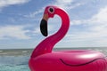 Air flamingos balloon