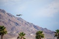 Air Force fighters from different national bases practicing landing and formation flying.