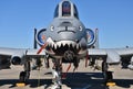 Air Force A-10 Warthog/Thunderbolt II Royalty Free Stock Photo