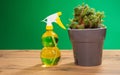 Air freshening fabric softener spray bottle. Spraying water on indoor plants, green cactus. Spray bottle with lemon Royalty Free Stock Photo