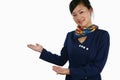 Air hostess Royalty Free Stock Photo
