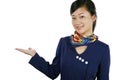 Air hostess Royalty Free Stock Photo