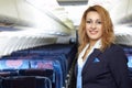 Air hostess (stewardess) Royalty Free Stock Photo