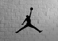 jordan 2 on wall realistic texture