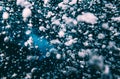 Air oxygen bubbles floating swimming up and boiling dark blue deep water forming different shapes some in focus blur coming up on Royalty Free Stock Photo