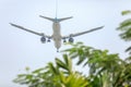 Air Plane of on the sky landing to the Suvanabhumi airport with blurry tree leaf.