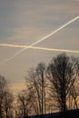 Air plane traces on the sunset sky. Tree silhouettes background Royalty Free Stock Photo