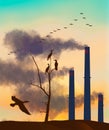 Air pollution pouring from industrial smokestacks are seen as cormorants and Canada geese migrate at sunset through the pollution Royalty Free Stock Photo