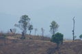 Air pollution from smoke caused by forest fires at Mount Omkoi, Chiang Mai, Thailand. The trees were cut on the mountains