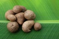 Air potato on banana leaf Royalty Free Stock Photo