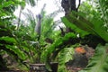 Air Raid Shelter at Dusit Zoo