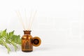 Air refresher bottle mock up, reed diffuser on a white background with fern leaf