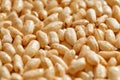Air rice oval in dry sweet syrup, treat, close-up, side view, selective focus Royalty Free Stock Photo