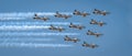 Air Show aviatic Bucharest Romannia aircraft plane flight amazing view Royalty Free Stock Photo