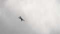 Air show of Messerschmitt Bf 109 of German Air Force Follow shot over cloudy sky