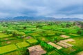 Air view of green fields green rice and corn fields in Amed, Bali, Indonesia Royalty Free Stock Photo