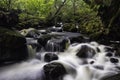 Aira Beck, Lake District, England