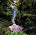 Aira Force Royalty Free Stock Photo