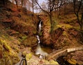 Aira Force